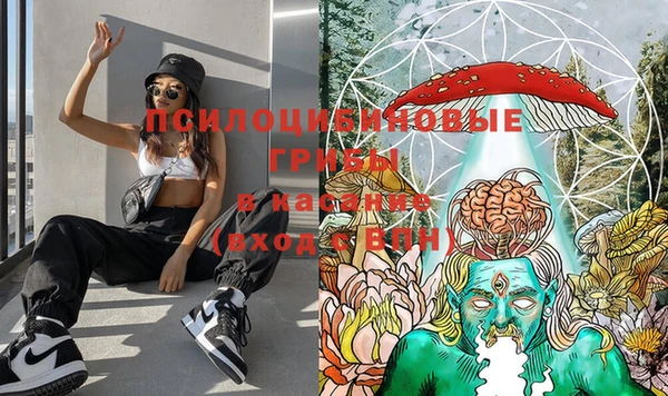 дурь Алексеевка