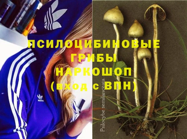 дурь Алексеевка