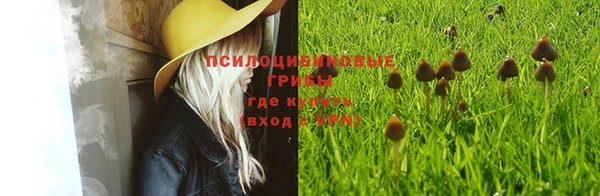мяу мяу кристалл Алексин